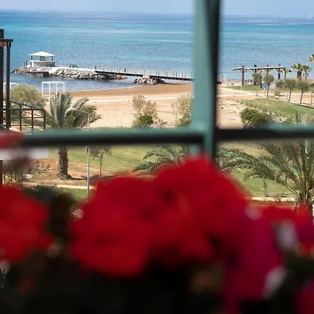 Solo With Sea View Apartment
